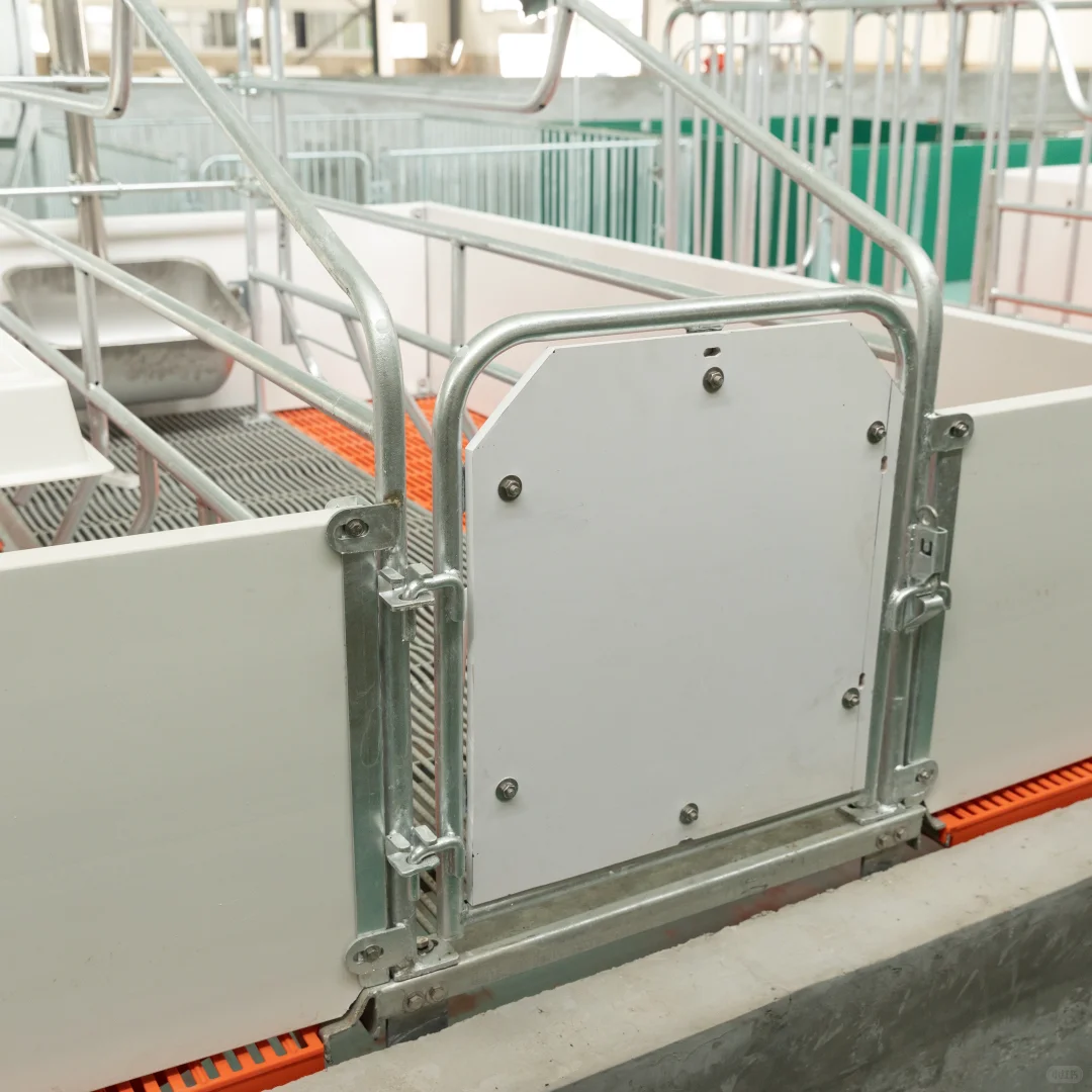 养殖设备一站式采购：非常OK的产床来啦