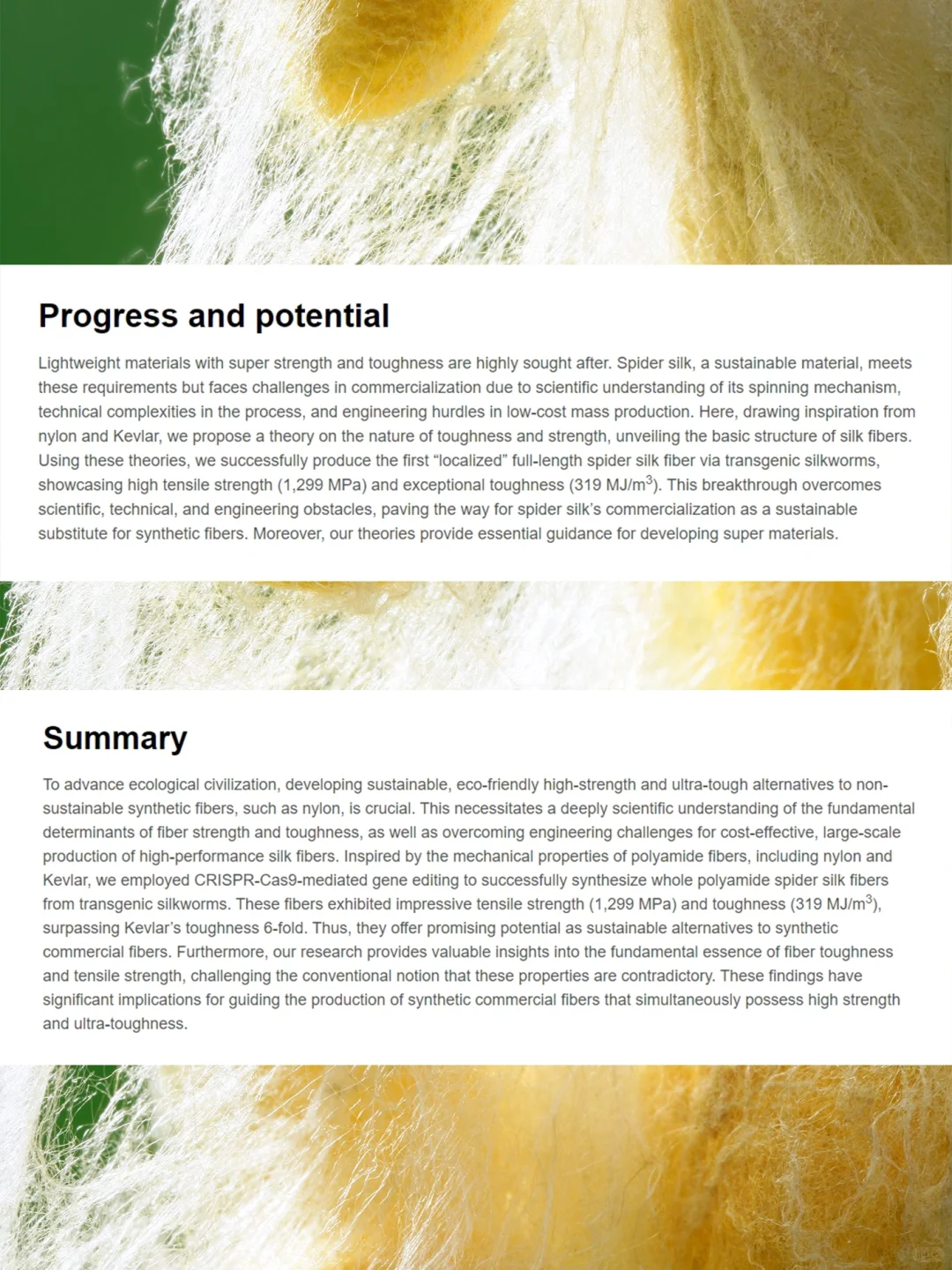 基因编辑：蚕能纺出蛛丝，超越防弹纤维