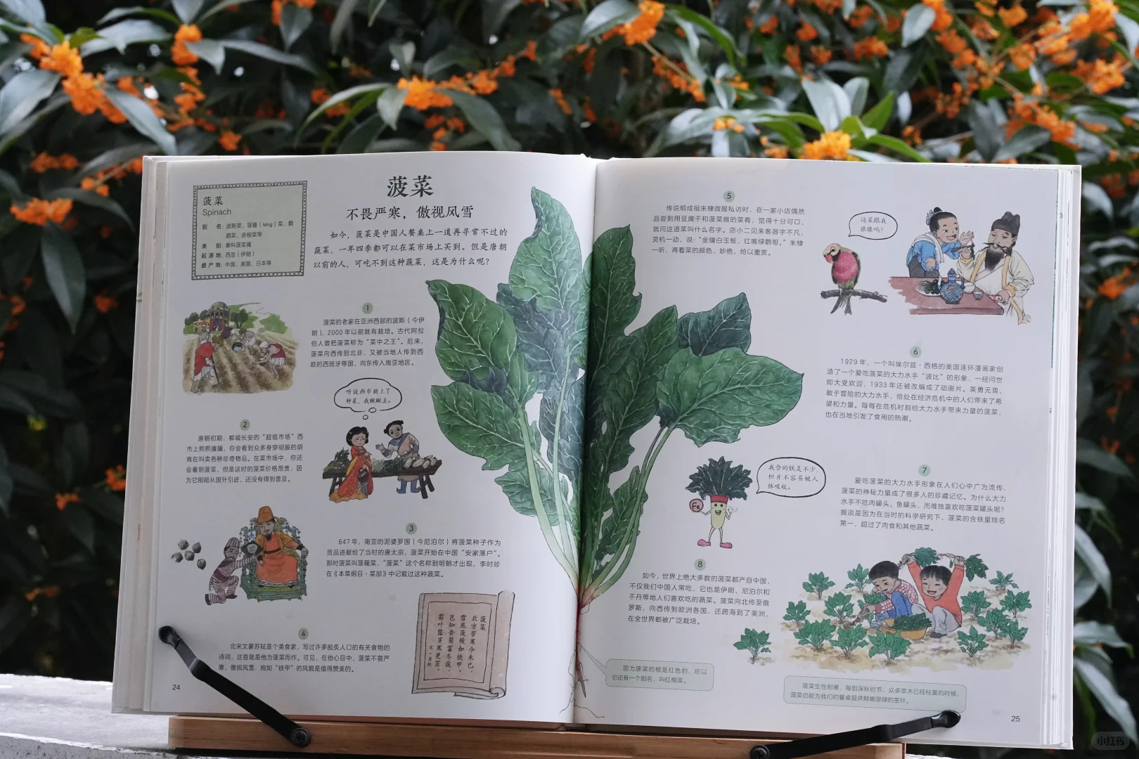 一起踏上作物之旅｜一本科普绘本