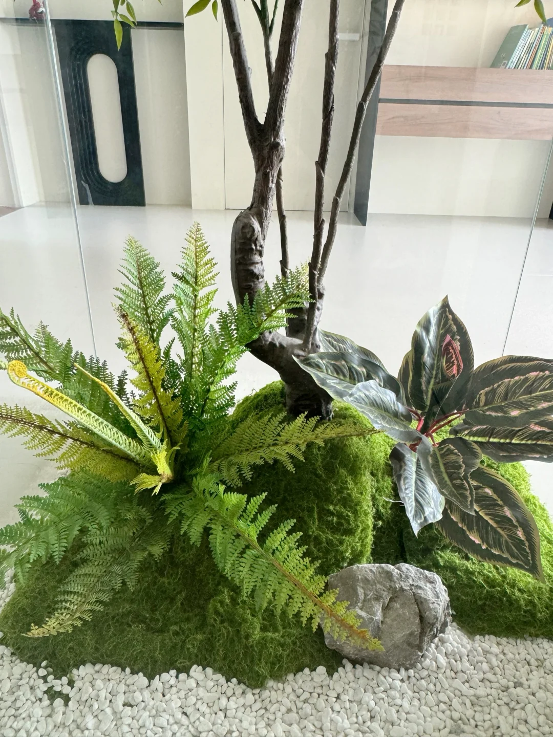 装修分享｜植物造景｜玻璃房内的绿植世界