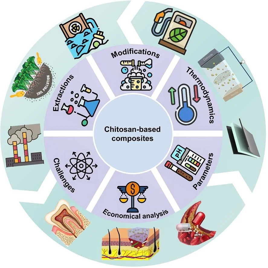 壳聚糖基复合材料&环境修复+能源+生物医学