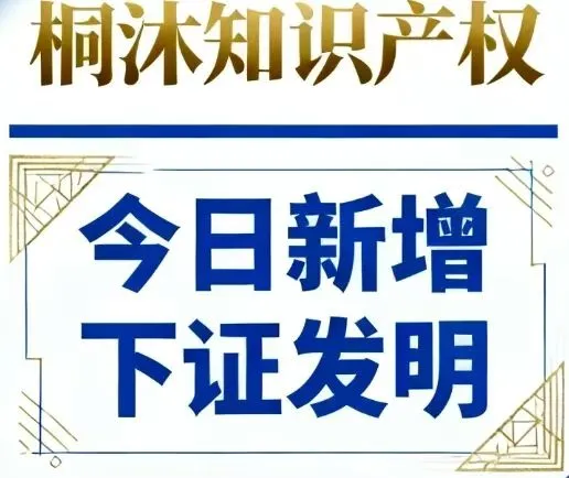 今日新增发明专利、还有闲置的吗？