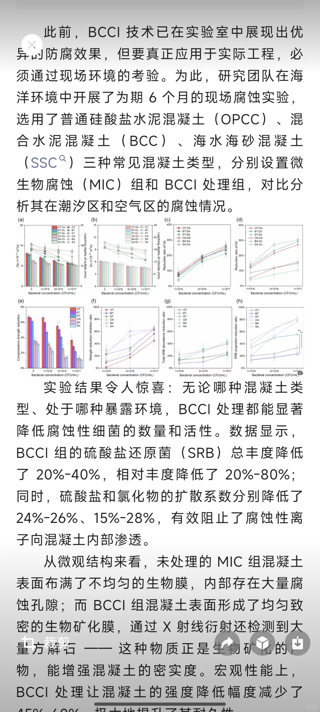 沿海基建脱碳新突破！这项生物黑科技让混凝