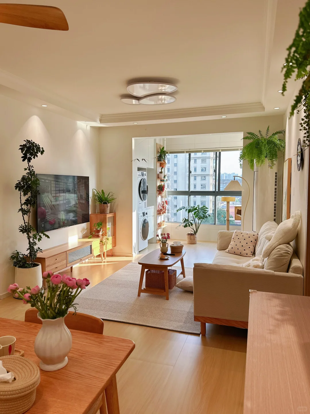 年纪不大，就住进了可以养老的家