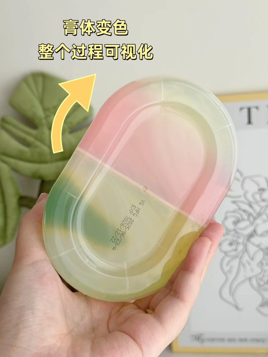 也没啥大本事，就是猛猛除甲醛‼️