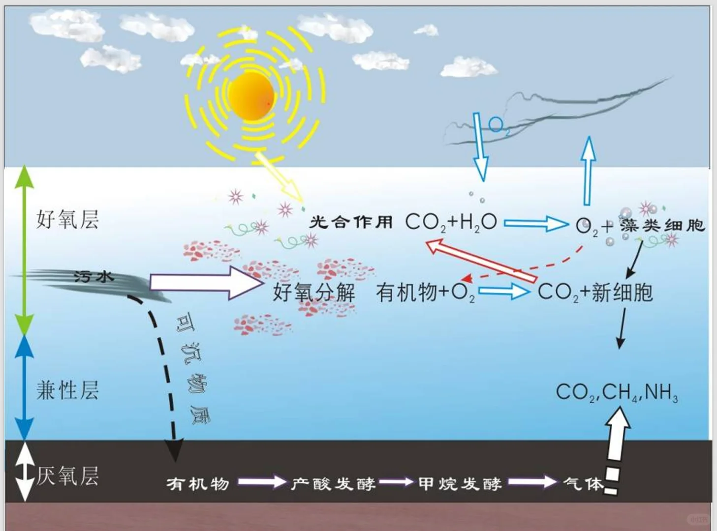 微生物处理技术演讲PPT，208页
