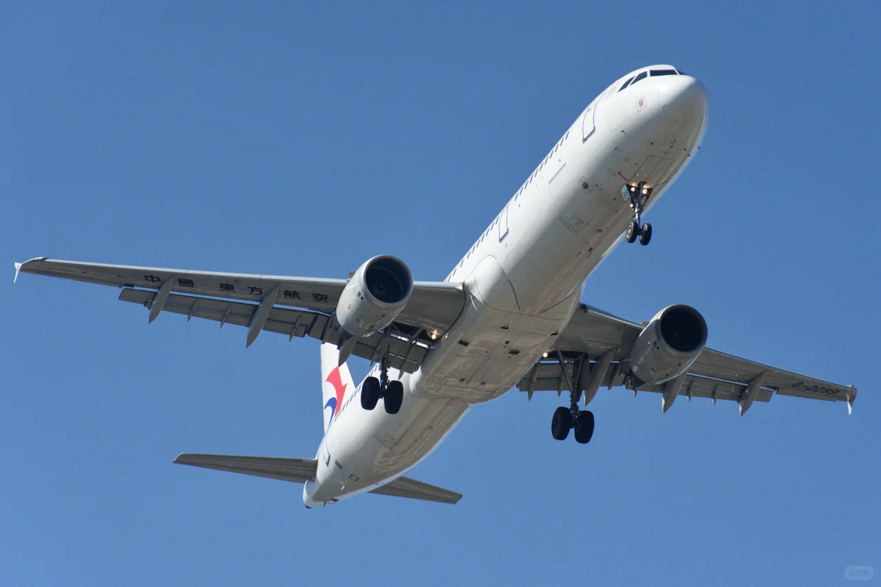 美好的一天从拍机开始