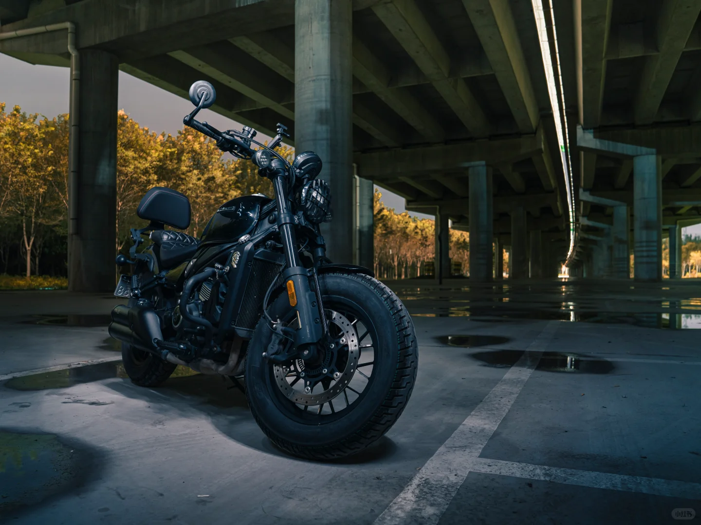 给小黑拍一组写真｜450clc