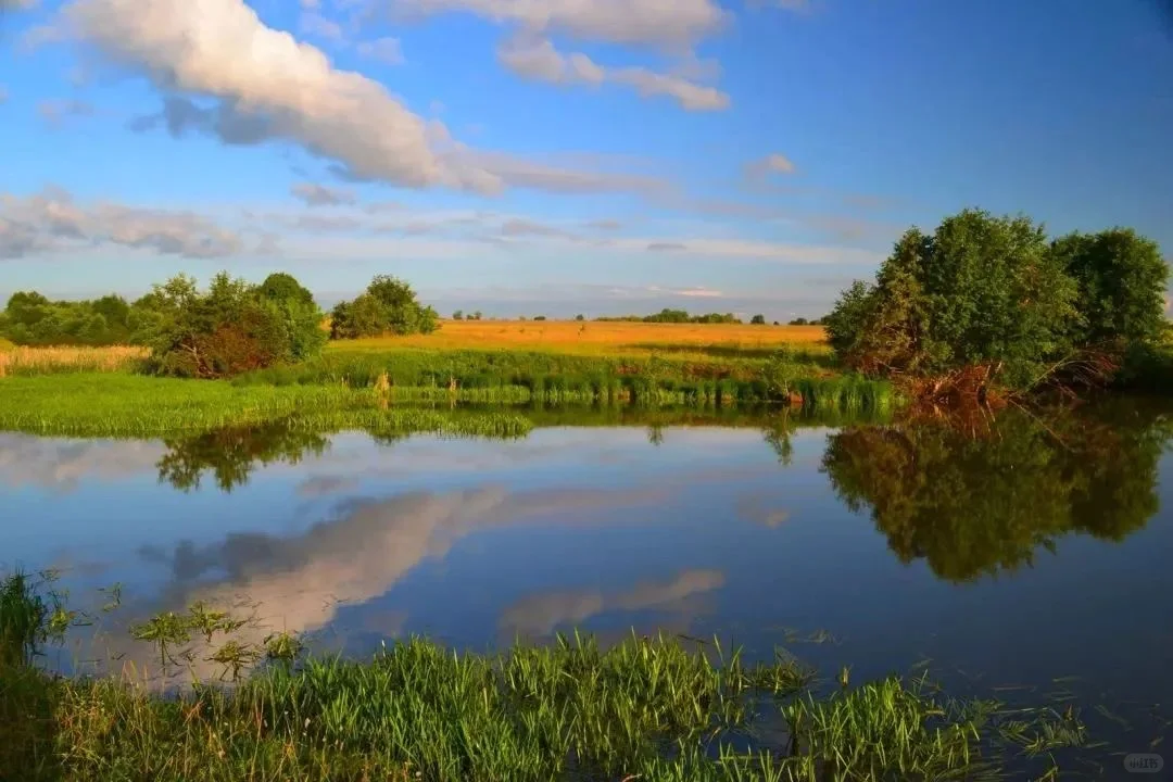 城市河湖治理中生态修复有哪些技术？