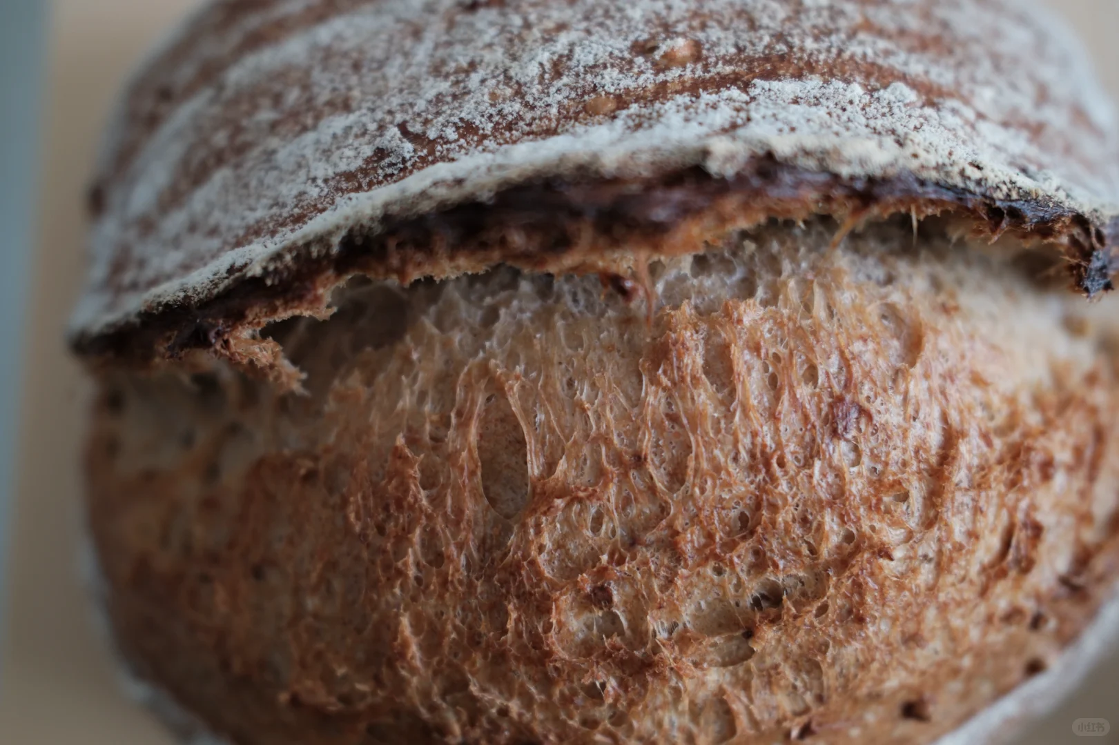 夏日减脂优质主食：荞麦粒燕麦谷物乡村