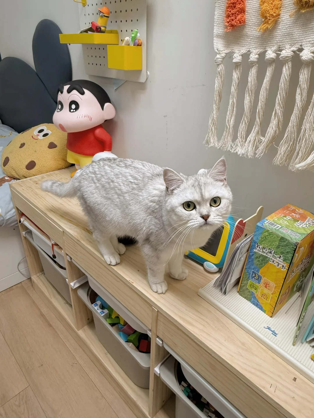 装修不听劝❓❗️客厅盖了个无窗小卧室