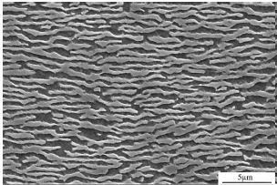 求助:镍基单晶高温合金微结构分析