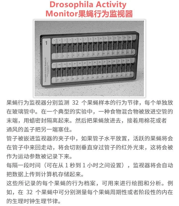 果蝇羽化监测器