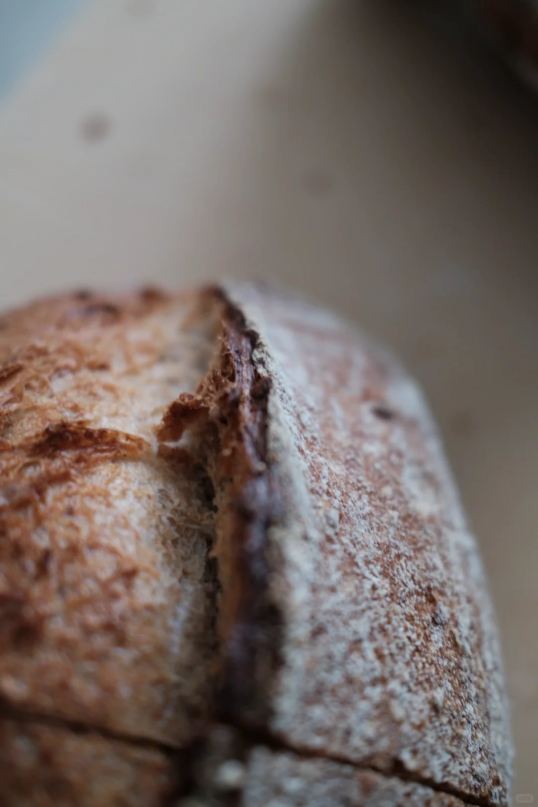 夏日减脂优质主食：荞麦粒燕麦谷物乡村