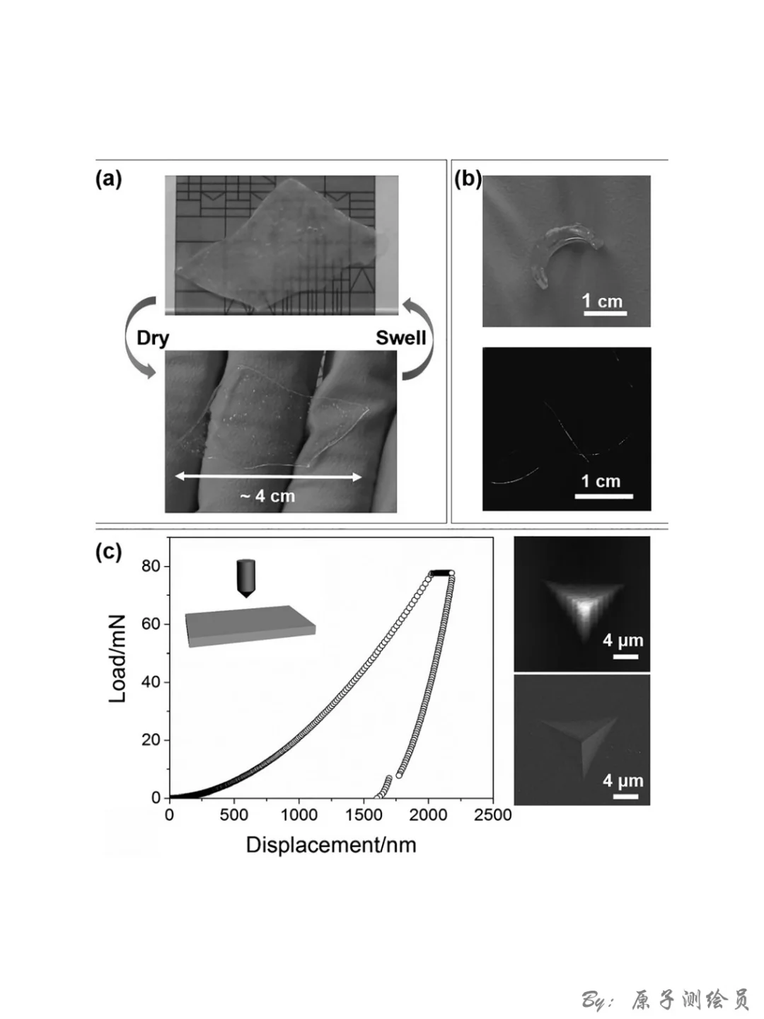 Angew：聚合物+ACC “矿物塑料”