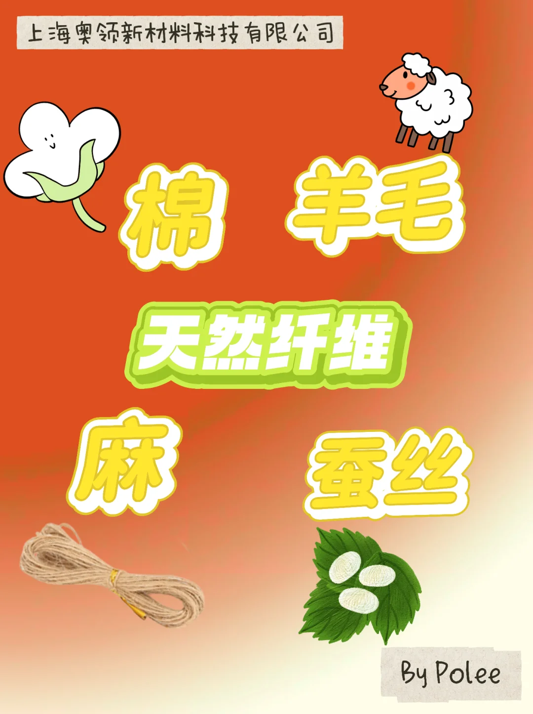 纤维的分类1️⃣