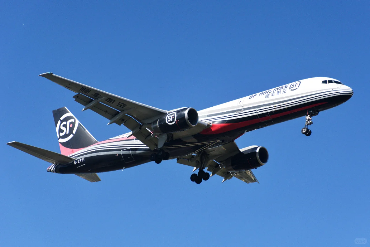 美好的一天从拍机开始