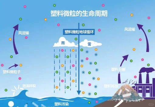 微塑料污染！不得不重视和解决的问题！