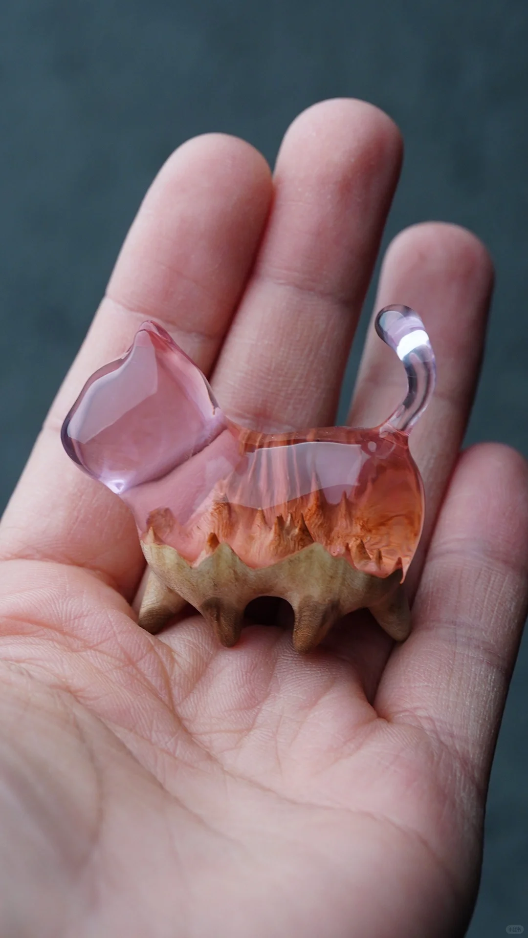 这只小猫咪适合封存什么呢?