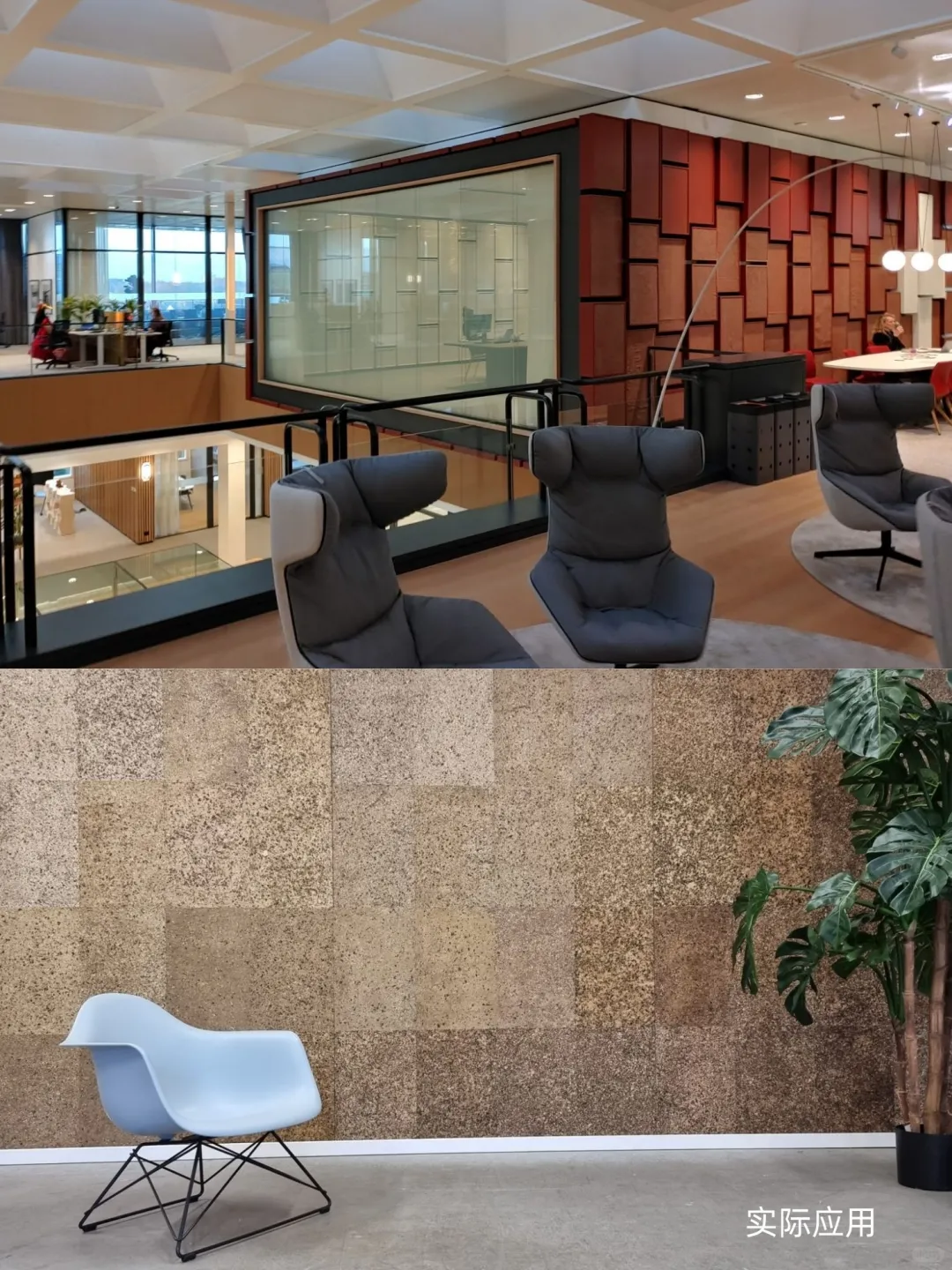 来自海洋的礼物:能吸碳,可降噪,可降解