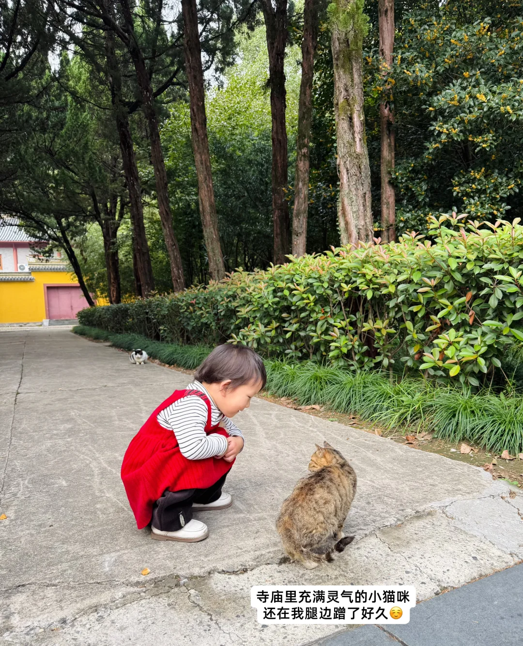 ?00后外贸plog｜宁波500强&新人客户开发法～