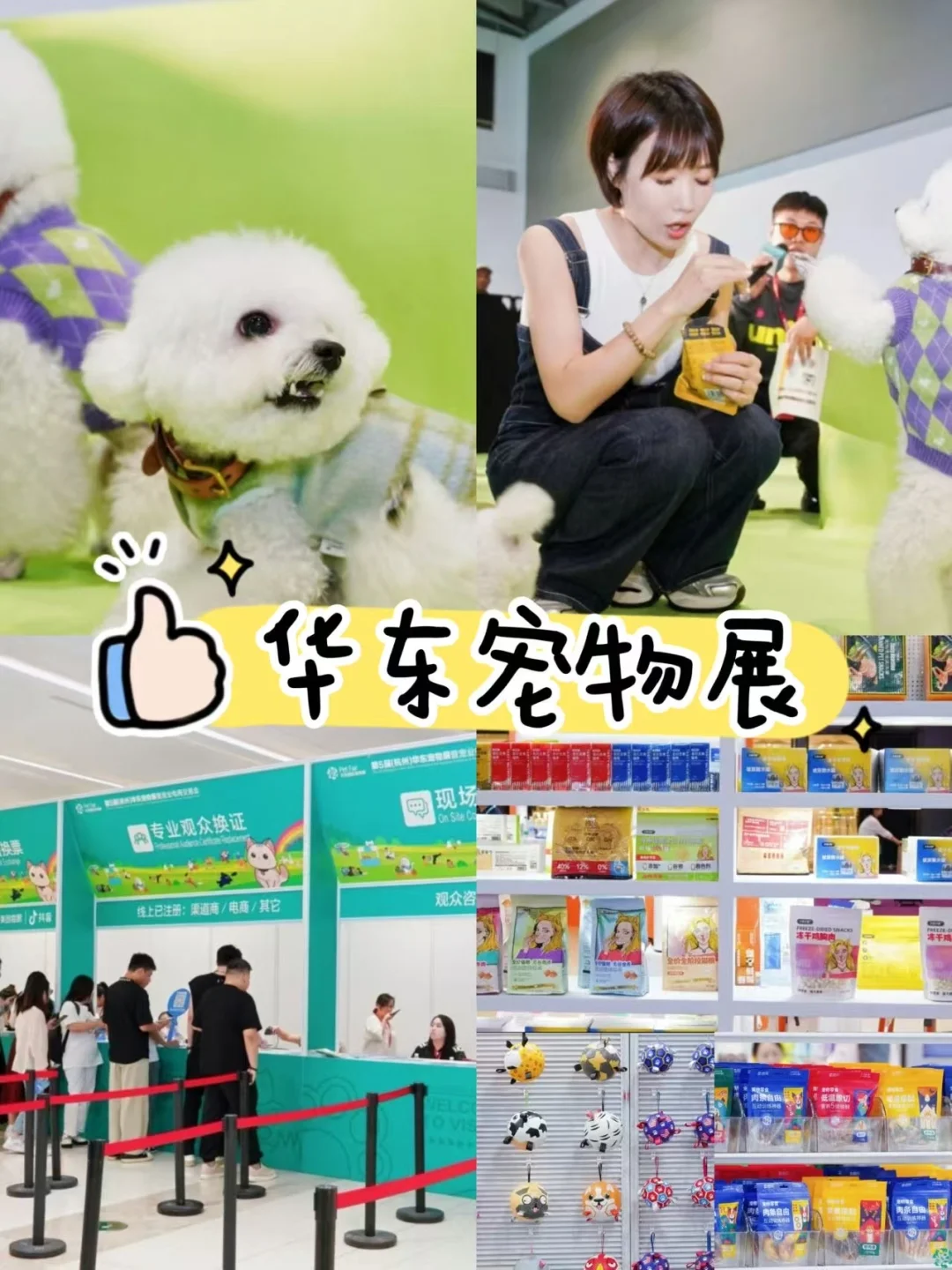 杭州铲屎官们速来！华东宠物展