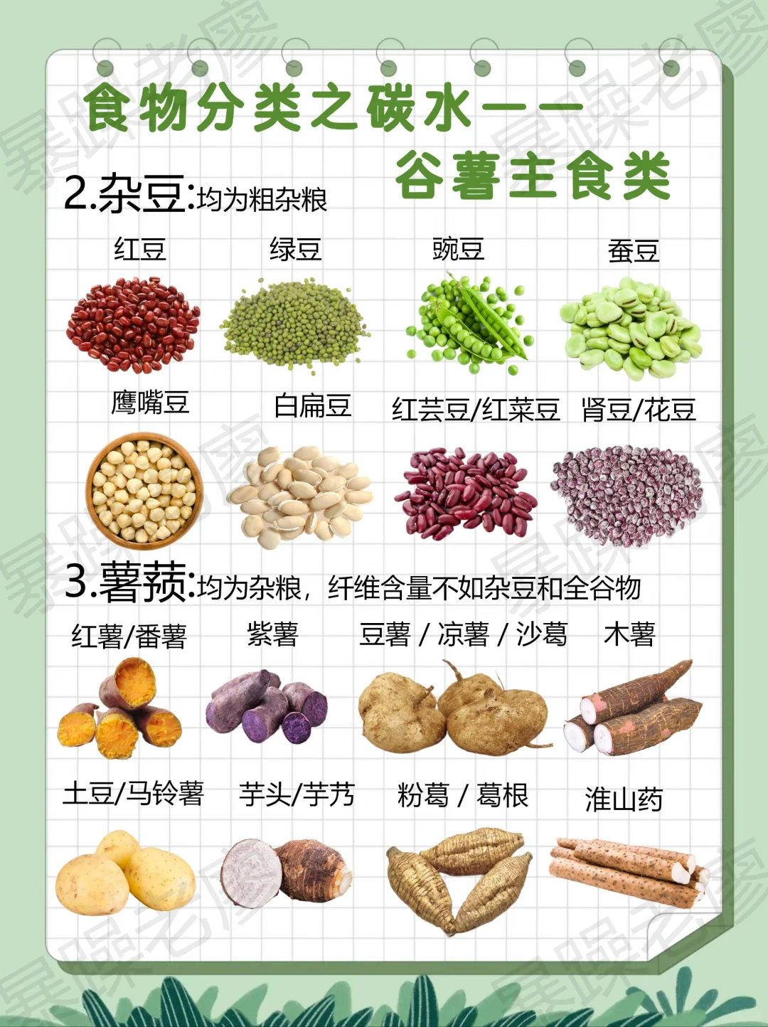 食物分类1-谷薯主食(附日常安排要点)