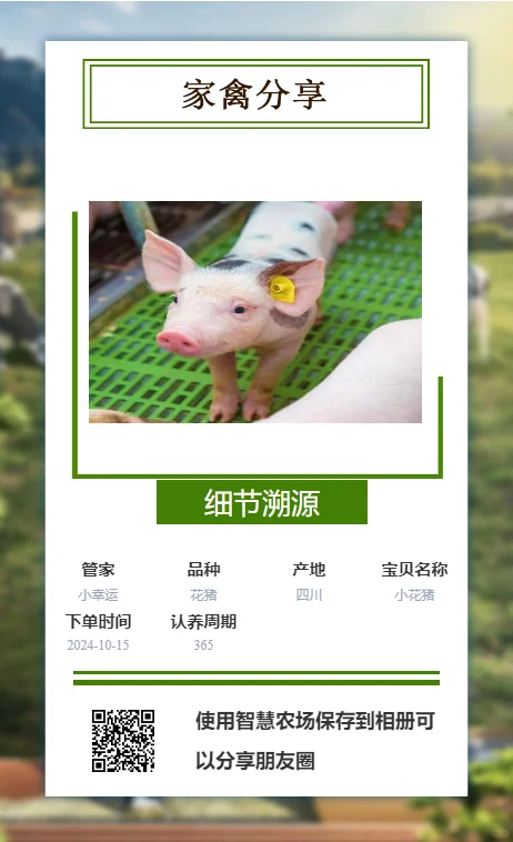 一颗认养：牲畜农场主的认养农业转型之路