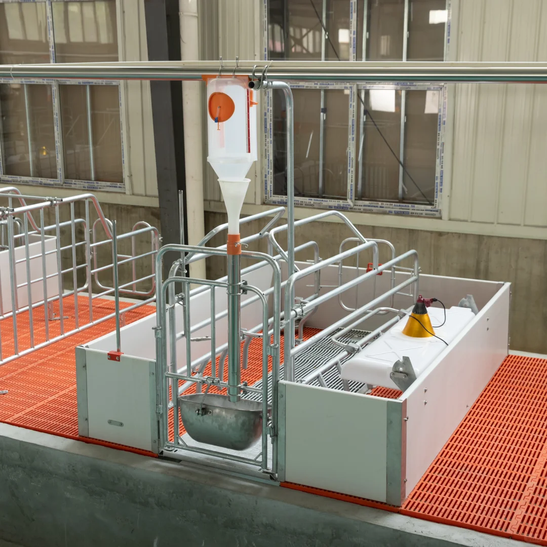 养殖设备一站式采购：非常OK的产床来啦