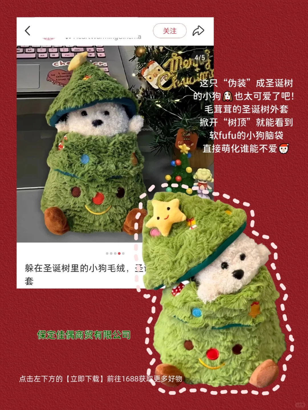 1688买的圣诞礼物?还是太权威了!