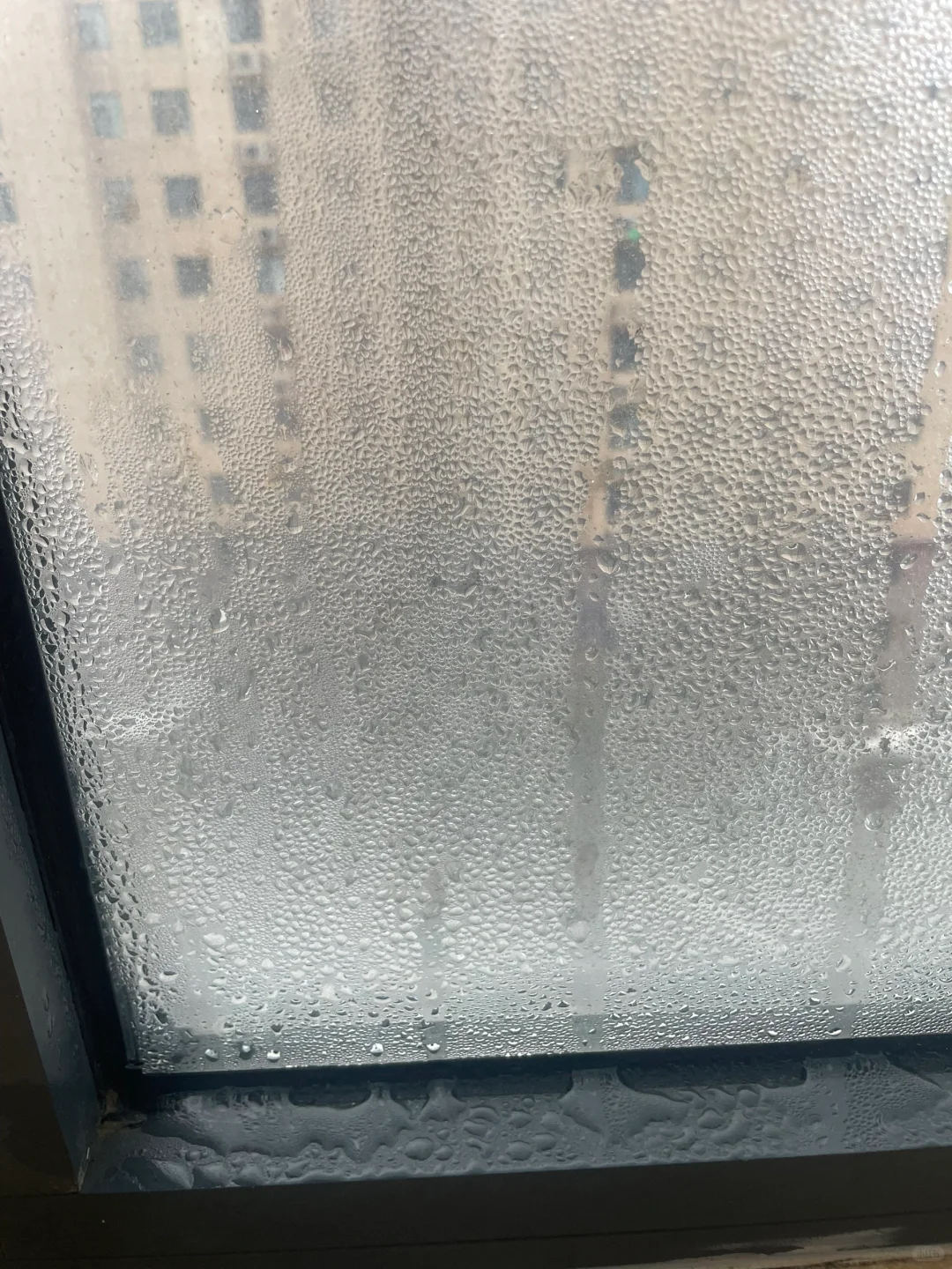 疯了！每到冬天玻璃就这死样子