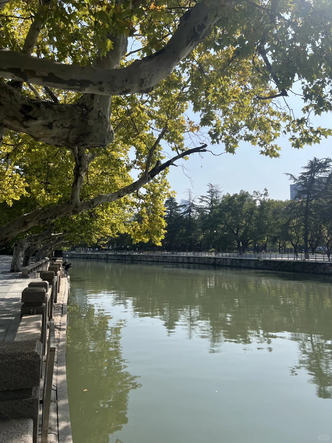 本地生活之无锡环城古运河徒步