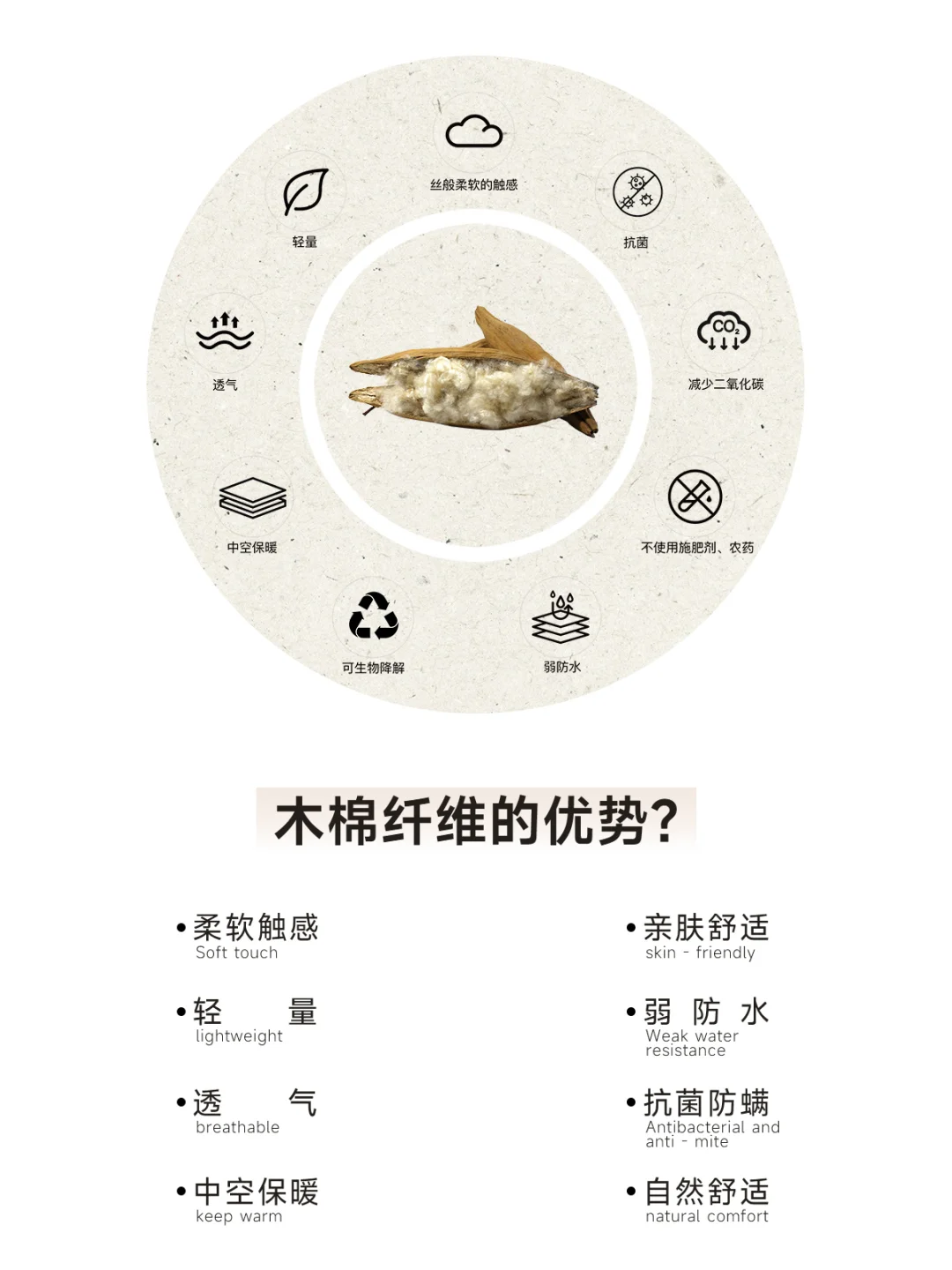 Y+系列 | 什么是木棉