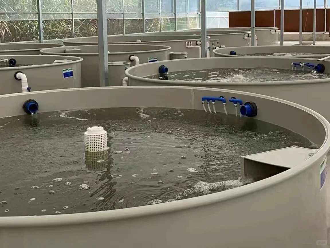 智能化水产养殖的实现