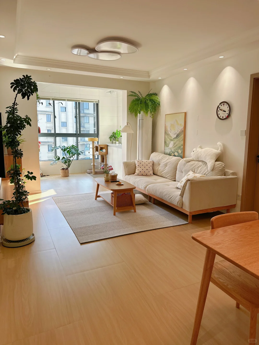 年纪不大，就住进了可以养老的家