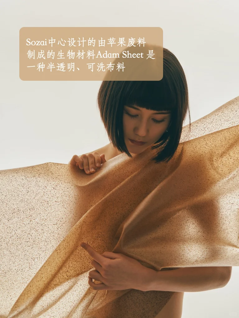 【可持续材料】从苹果渣?到生物皮革！