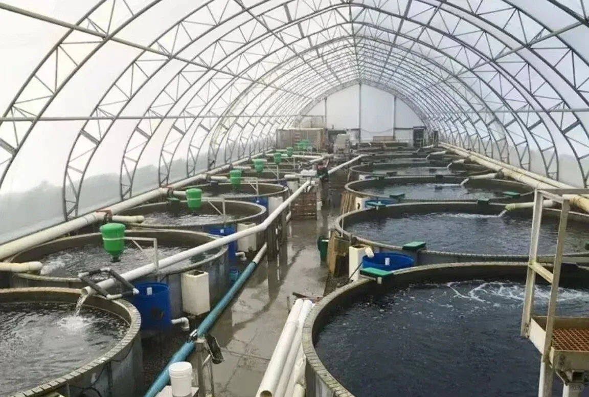 高低位池塘循环水养殖