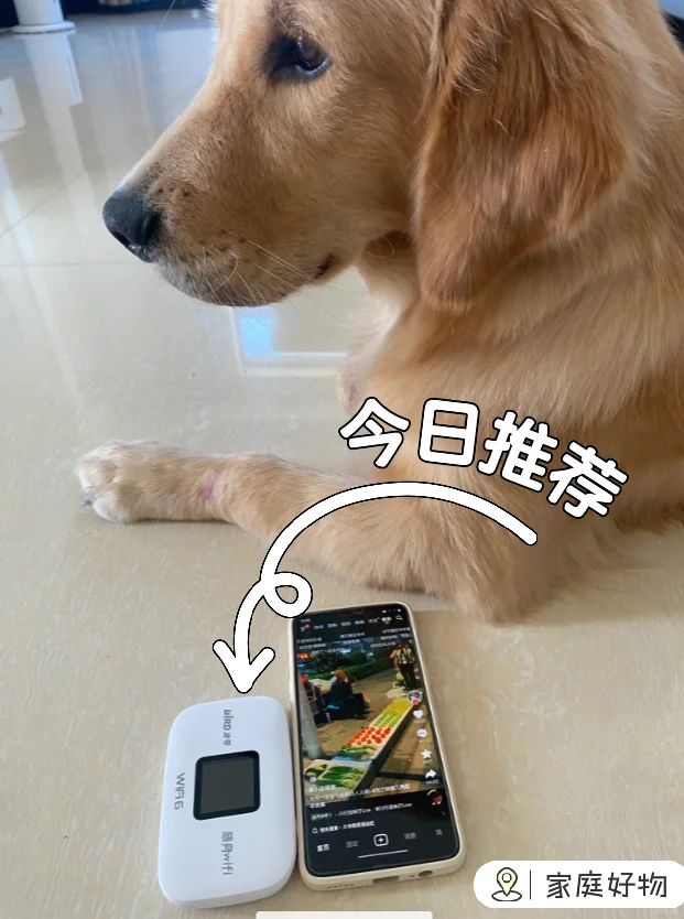 这么小的随身WiFi,怎么做到信号如此之强??