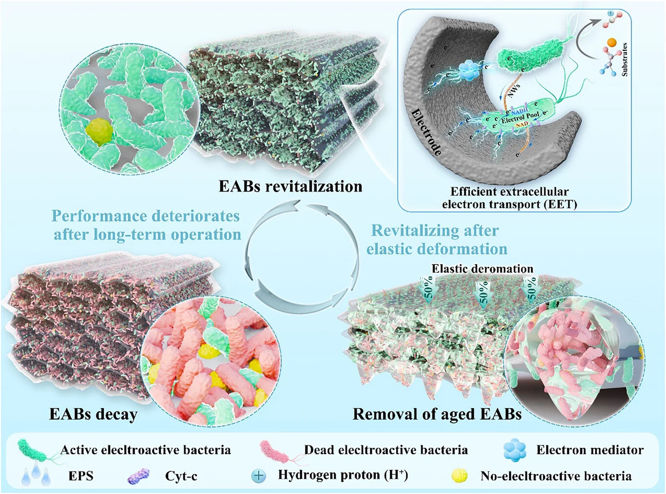 007 纤维素木质素基解决电活性生物膜老化