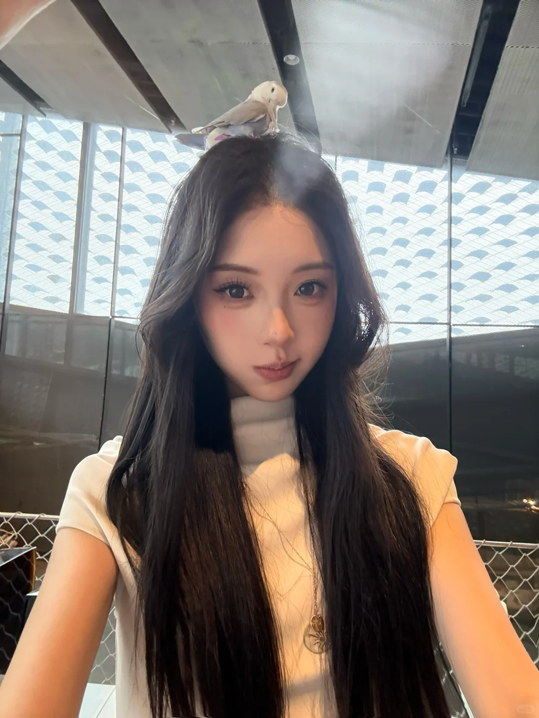 国美玻璃艺术专业毕设月的记录们?