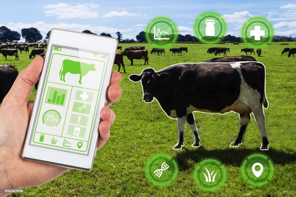 什么是智慧牧场?有哪些功能给大家讲解一下