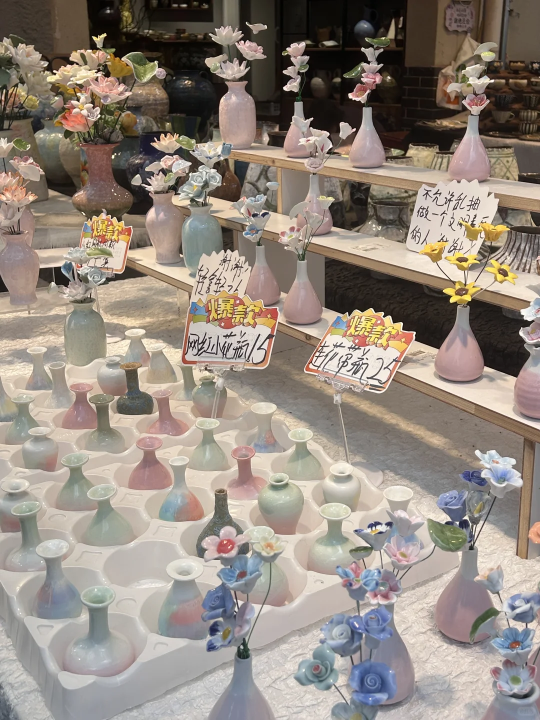 陶阳新村的花花带回家啦