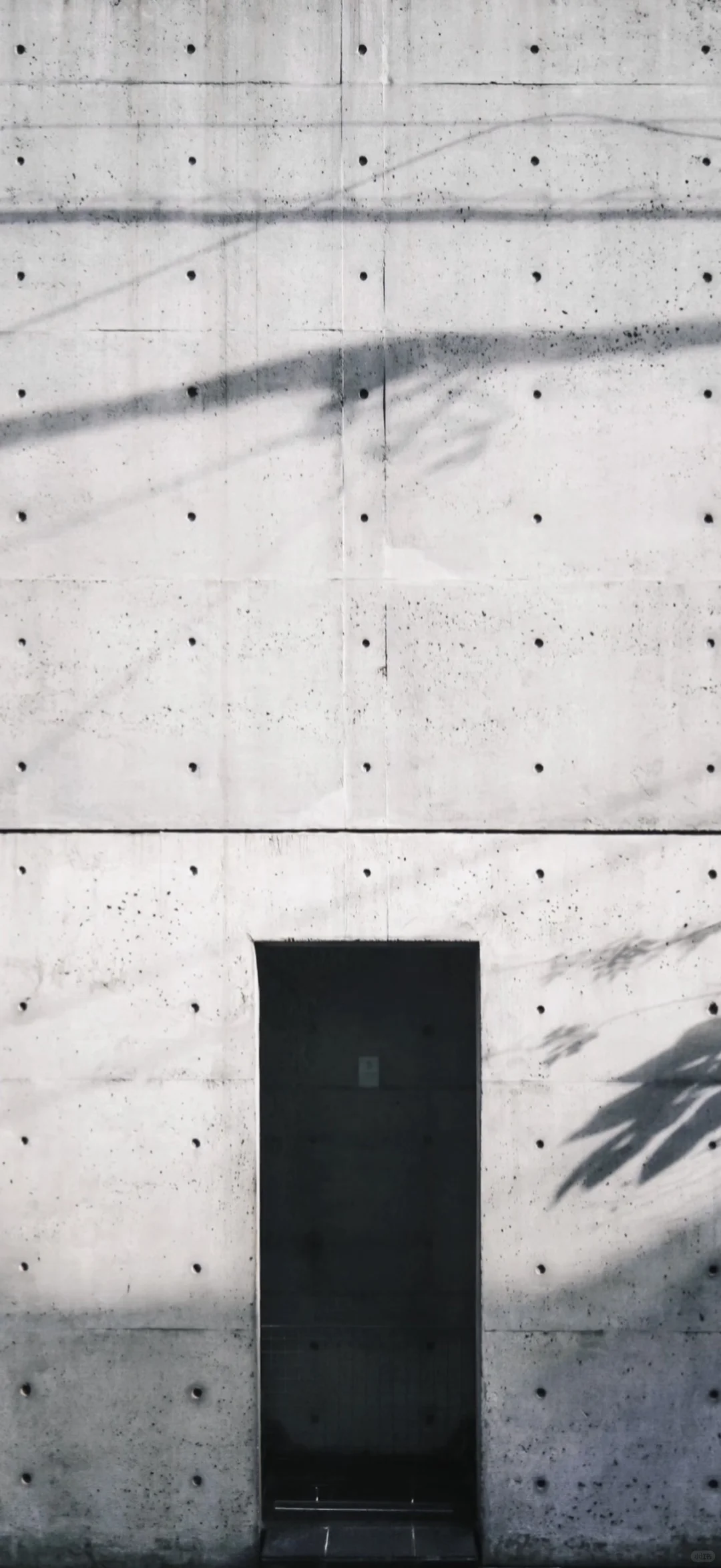 龟一 清水混凝土