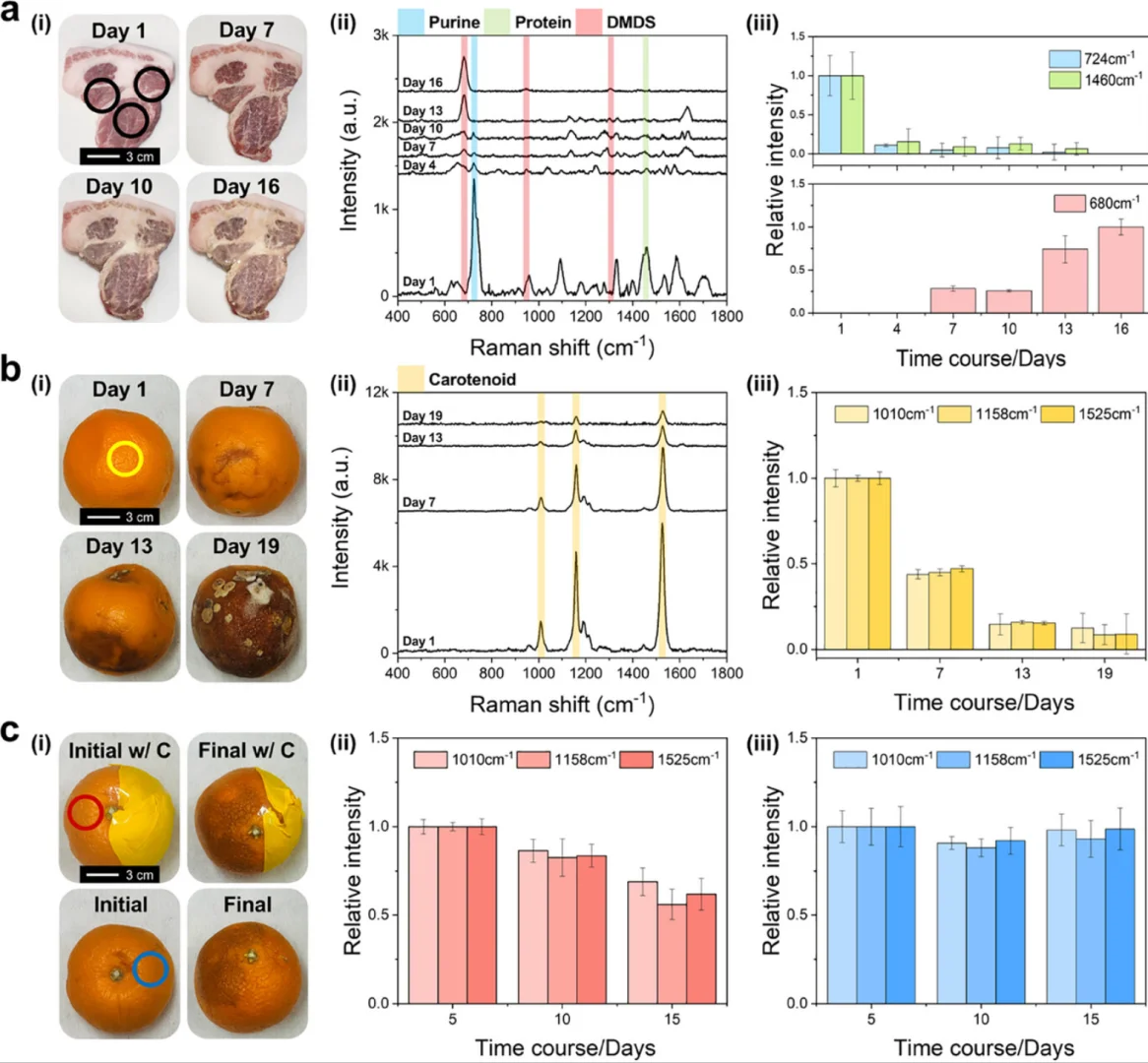 静电纺丝应用！智能包装提醒你牛肉变质？
