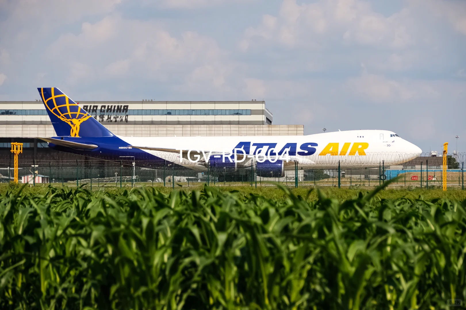 谁能拒绝麦田里的两架野生货机呢