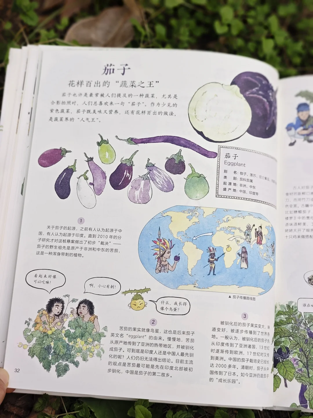 儿童农业科普绘本|纯手绘农作物科普