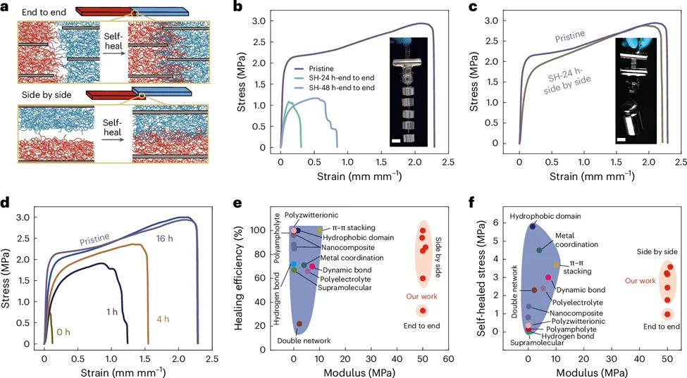 100%自修复的水凝胶