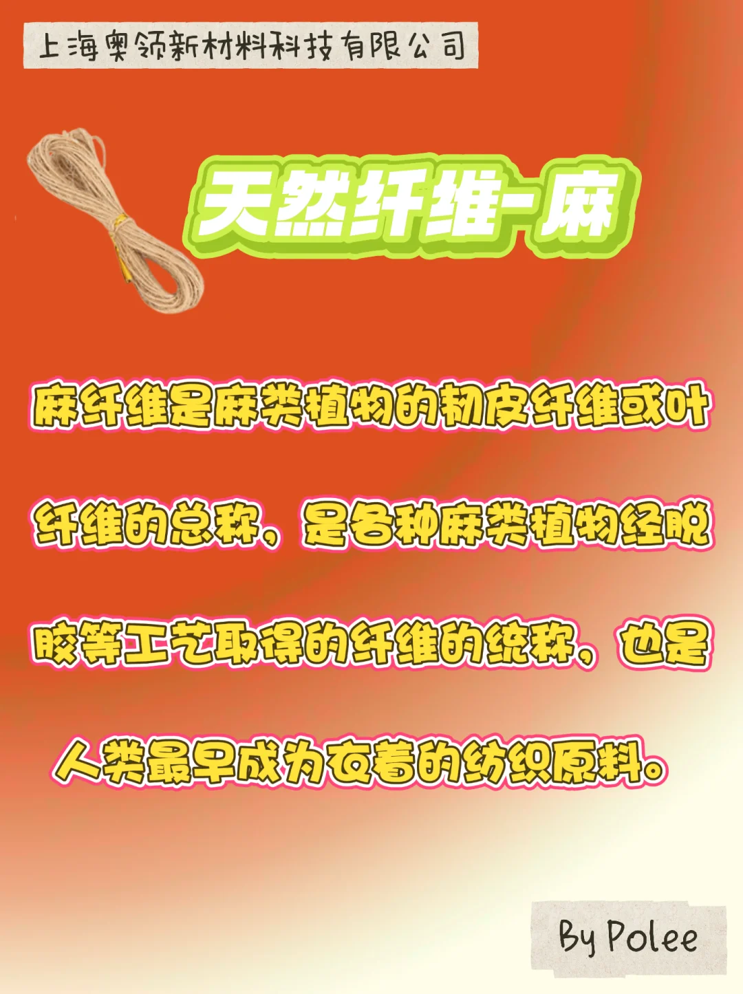 纤维的分类1️⃣