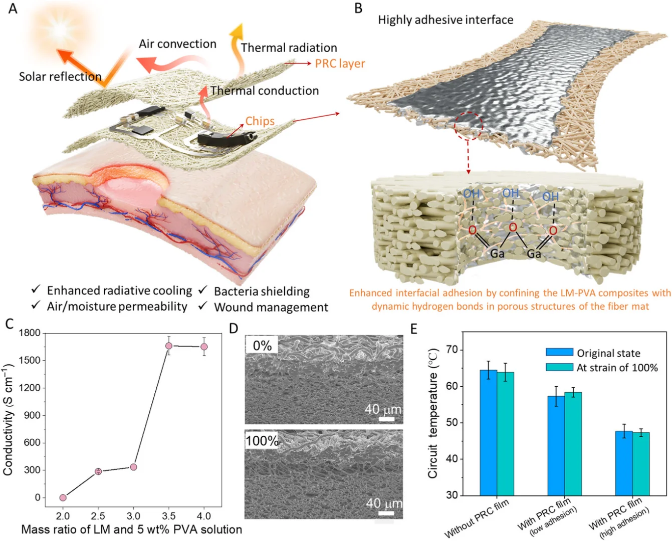 静电纺丝制备LM-PVA多功能分层结构纤维膜
