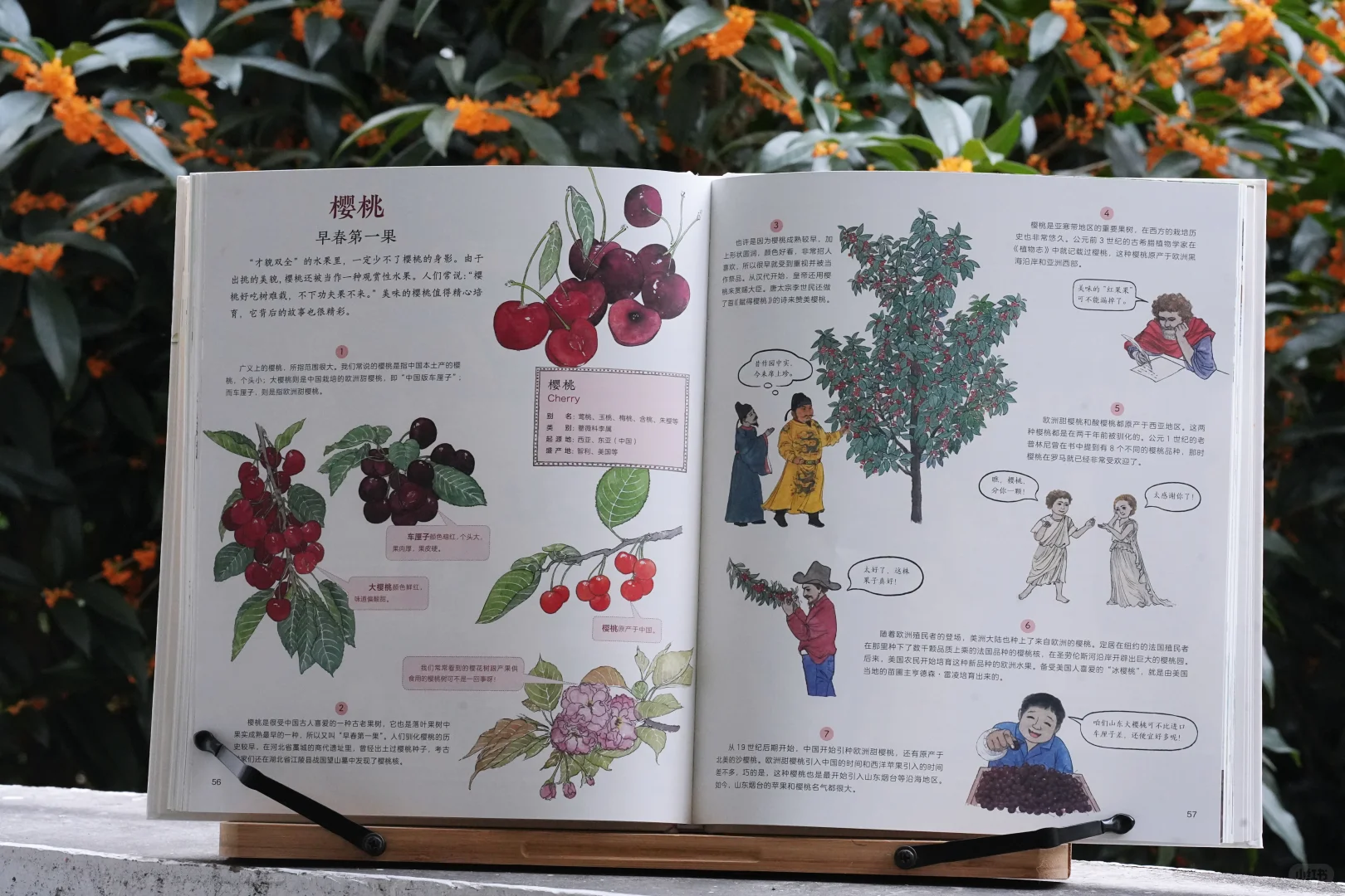 一起踏上作物之旅｜一本科普绘本